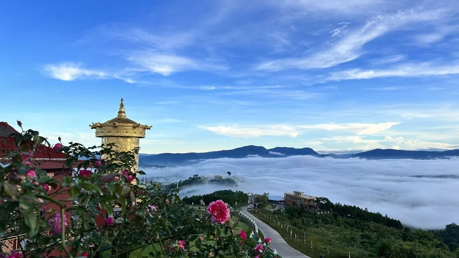 20+ điểm du lịch đẹp ở Đà Lạt & Kinh nghiệm sắp xếp lịch trình tối ưu